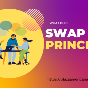 What Does Swap Meet Princess Mean? Unveiling the Definition and Significance