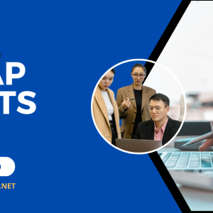 What Do Swap Meets Sell? Exploring the Diverse Offerings